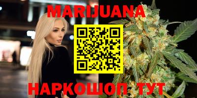стаф Дубна