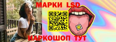 стаф Дубна