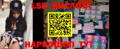 стаф Дубна