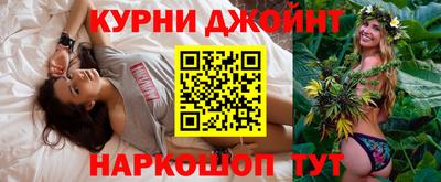 стаф Дубна