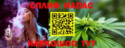 стаф Дубна