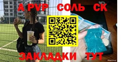стаф Дубна