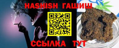 стаф Дубна